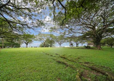 Pasir Ris Park Tee Side Chalet